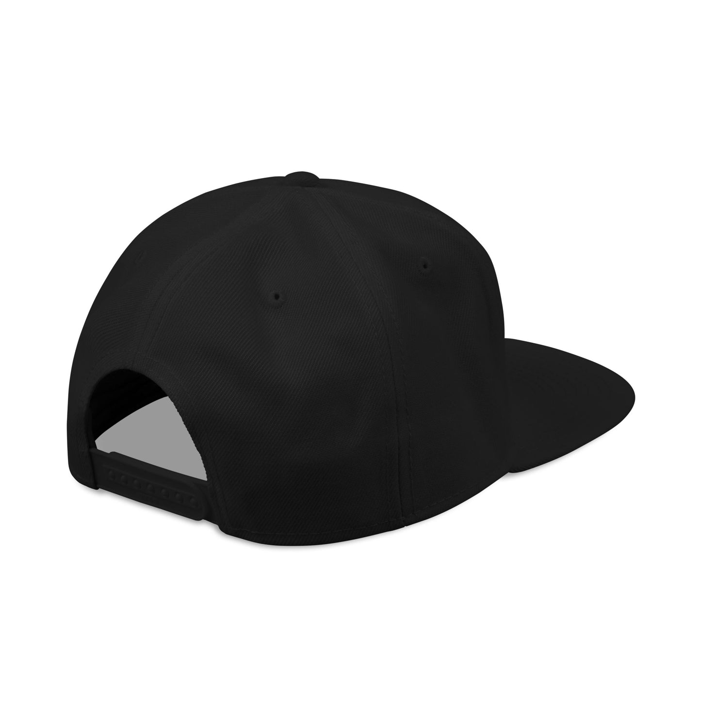 The Everyday Snapback